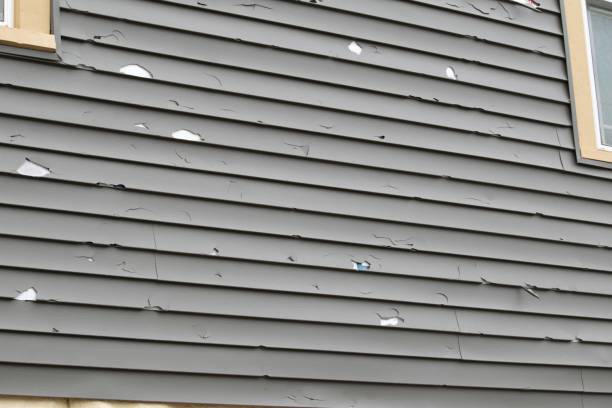 Best Fiber Cement Siding Installation  in Shafter, CA